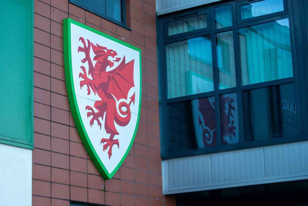 Two vacancies now exist on the FAW Council for a representative of the Adran Premier and a representative of the Ardal Northern League (Central Wales). 